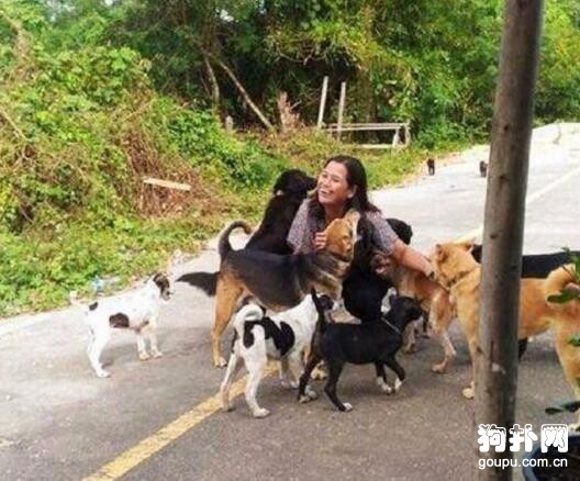 善心女子收養一群流浪<a href=/zhonglei/gou/ target=_blank class=infotextkey>狗</a>，狗狗每天送禮物報恩