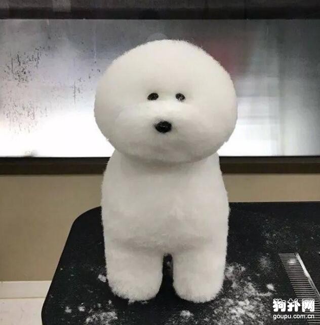 那些“靈魂”美容師做出來的狗狗造型