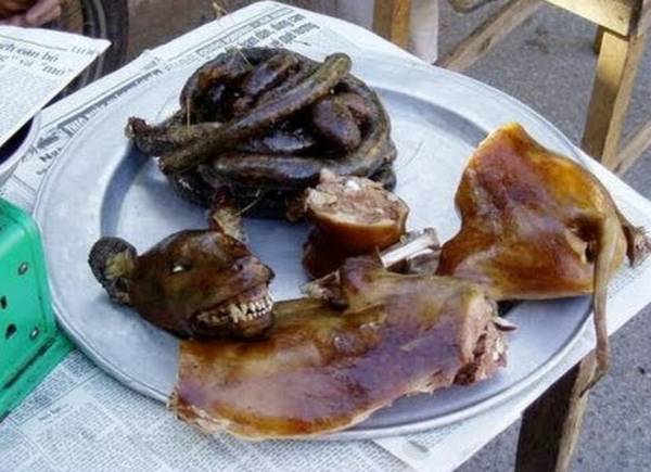 狗肉屬于熱性還是涼性