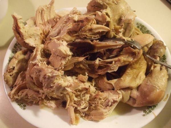 狗狗吃了骨頭嘔吐拉稀不吃食嘔吐怎么辦