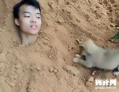 主人為試探狗狗的忠誠度將自己活埋，狗子的表現讓人想哭