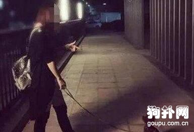 狗狗咬壞主人價值數千的衣物，被虐待一夜，性格驟變