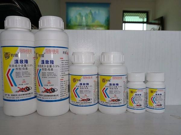 貓吃到老鼠藥怎么救