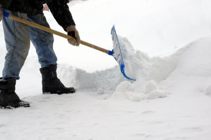 主人忙著鏟雪，超萌汪星人也來湊熱鬧