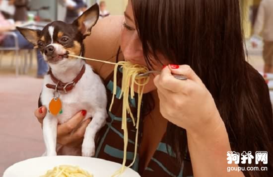 養狗狗對孩子的意義在哪？