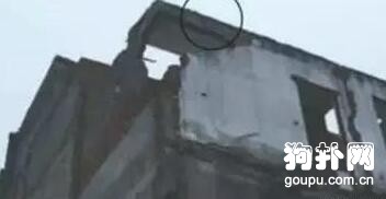 流浪狗不忘施飯之恩，危急關頭救下恩人