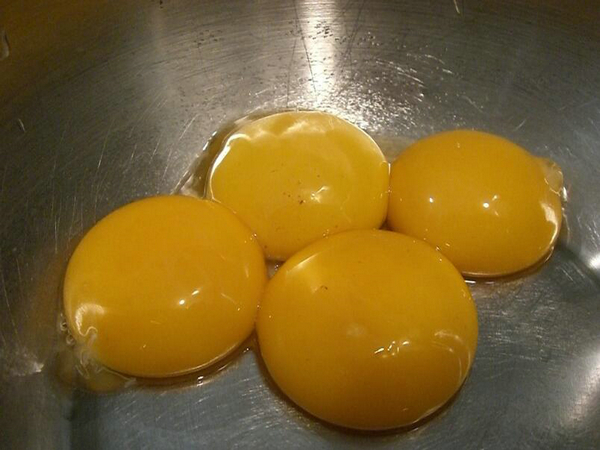 一個月貓可以吃蛋黃嗎