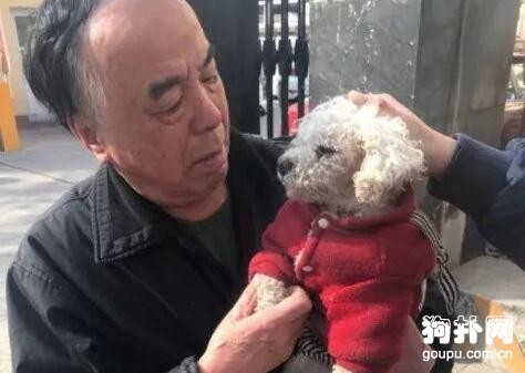 給撿的狗狗找回主人，對方卻說故意丟的，就是不想養