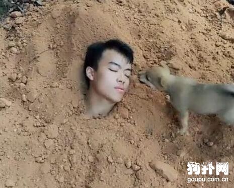 主人為試探狗狗的忠誠度將自己活埋，狗子的表現讓人想哭