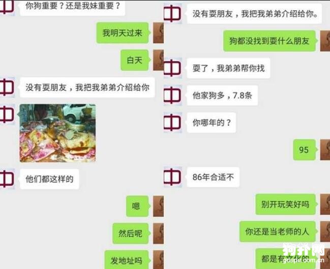 成都女子撿狗拒還，要挾寵主未果，將狗摔死