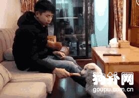 這么冷的夜晚，流浪狗緊跟交警不走！