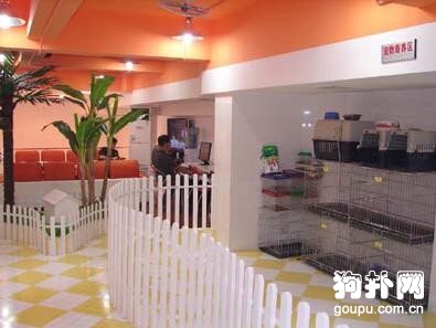 實體寵物店的消費優勢
