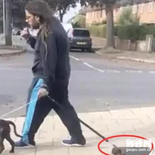 男子拖行小奶狗，不理勸告，被公訴后仍得不到大眾原諒