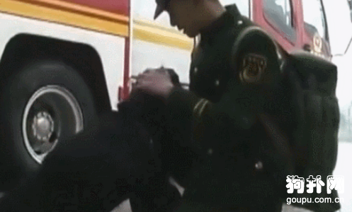 警犬想給自己的兄弟送行，卻被要求原地坐下，不舍之情感動眾人