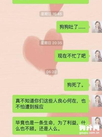 網購的狗狗第二天就死了，找誰說理去？