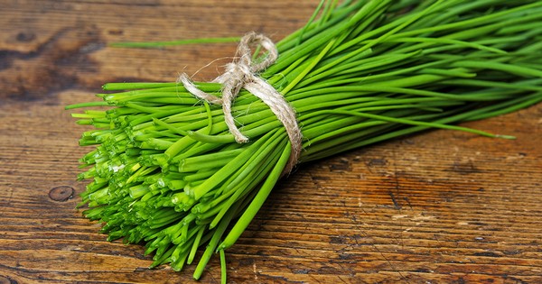 狗狗可以吃韭菜嗎