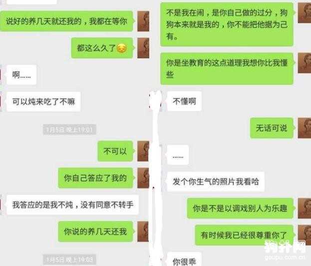 成都女子撿狗拒還，要挾寵主未果，將狗摔死