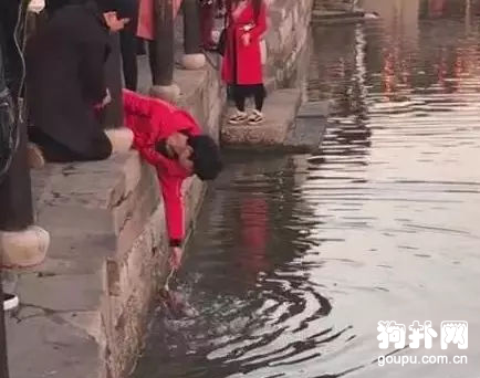 古鎮寵物狗不慎落水，18歲少年果斷出手相救!