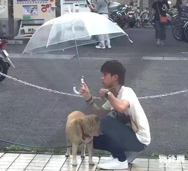 大雨天<a href=/zhonglei/gou/ target=_blank class=infotextkey>狗</a>狗被栓路邊，暖心小哥哥為其打傘