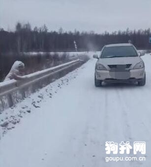 防護欄上趴著一只凍僵的狗狗，網友下車查看后氣得罵娘