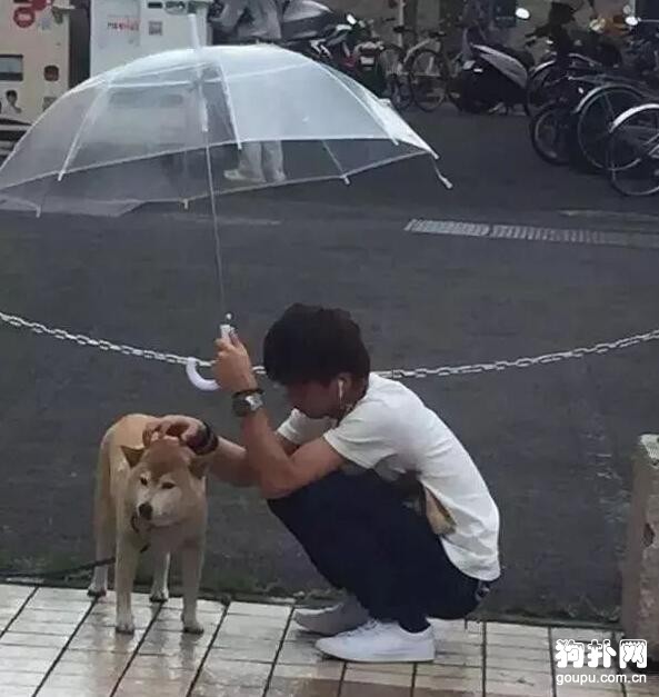 大雨天狗狗被栓路邊，暖心小哥哥為其打傘