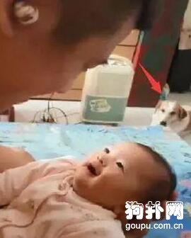 爸爸用“火星語”逗女兒，狗狗一臉懵逼