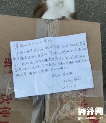 小花狗被丟在大馬路上，還留了張紙條，這是咋回事！