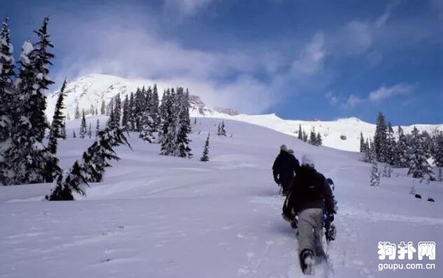 網友登山遇見一只黑汪，看見<a href=/zhonglei/gou/ target=_blank class=infotextkey>狗</a>牌時笑噴了……
