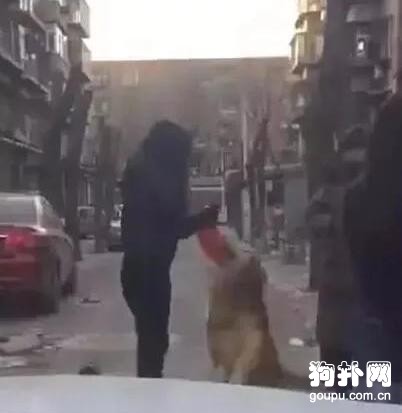 妹子居然找到了失蹤五年的愛犬，真是奇跡呀！