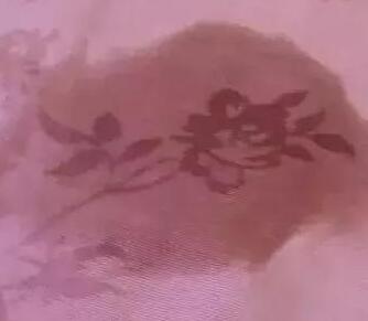 佛系養狗何嘗不是一場人生的修行，你能忍到哪種程度？