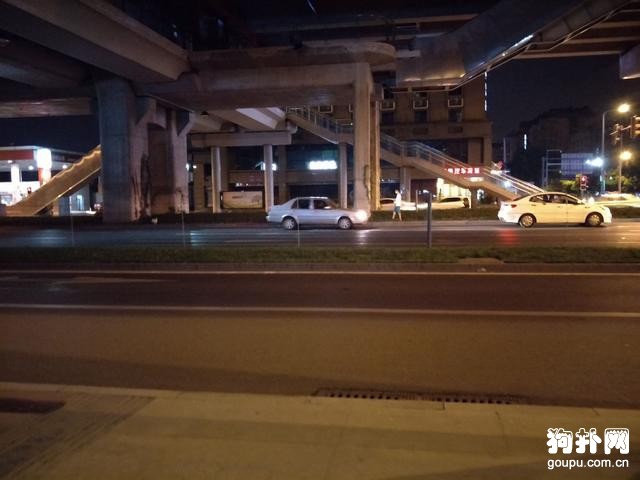 可愛的小狗狗走丟了，主人快來領回去吧！