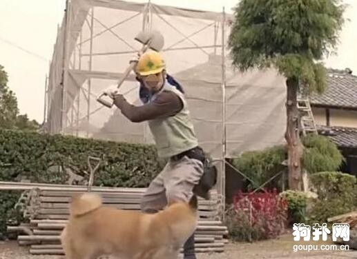 主人無奈留下愛犬，狗狗猛追無果，最后卻連家都回不了