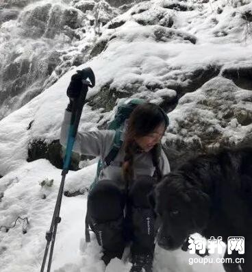 網友登山遇見一只黑汪，看見狗牌時笑噴了……