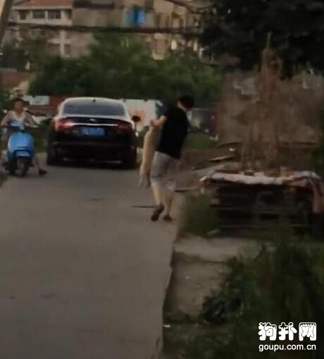狗狗貪玩不回家，主人苦勸無果，只好拎著走