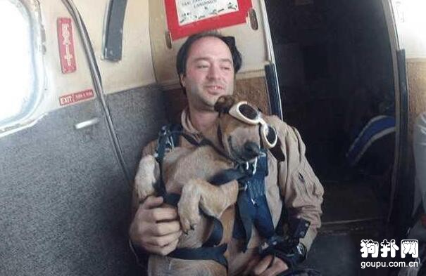寵主帶愛犬挑戰跳傘，這才叫實力坑狗啊！