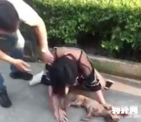 女飼主外出遛狗不戴狗繩，慘劇發生后悔恨不已
