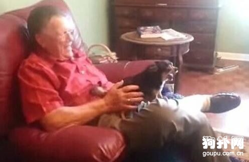 如果不是主人抱，狗狗馬上就裝死，這技能有點厲害！