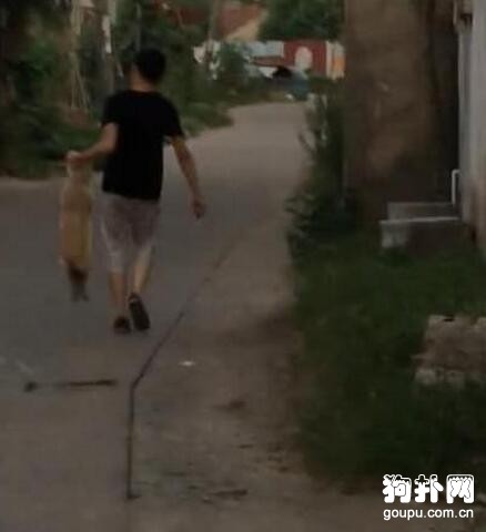 狗狗貪玩不回家，主人苦勸無果，只好拎著走