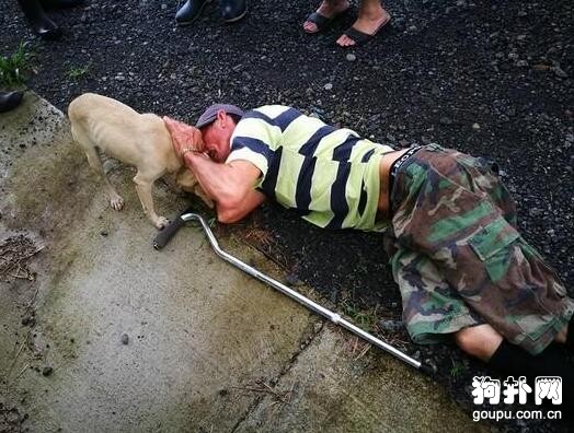 主人突然在路上暈倒，忠犬飛奔至醫院求救，患難見真情