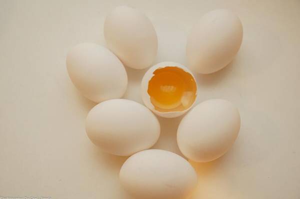 雞蛋分公母的最佳方法