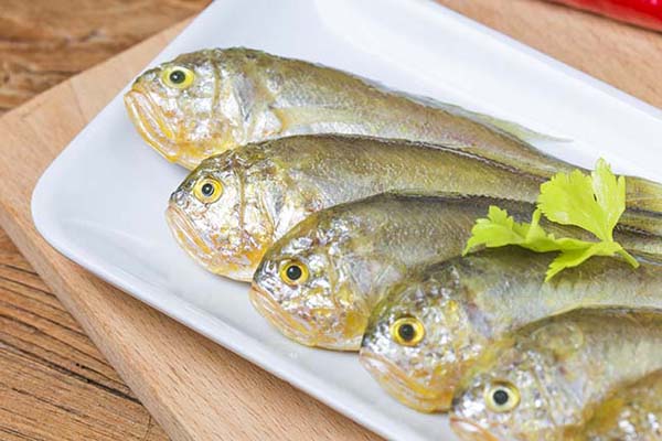 大黃魚小黃魚區別