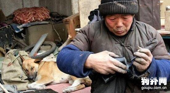 殘疾老人修鞋為生，生活艱苦，幸得忠犬相伴