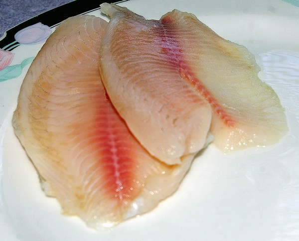 狗狗可以吃魚嗎