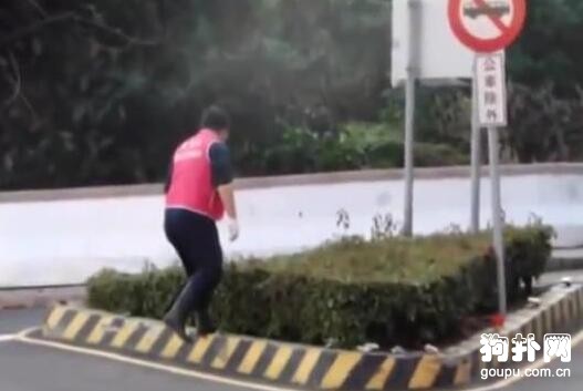 流浪狗母犬被無情驅趕，眼見著要難產，終于有好心人出手了