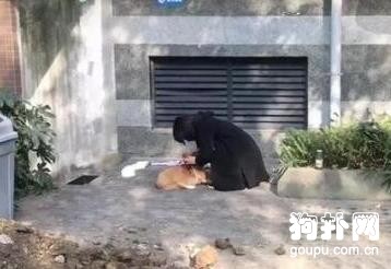 成都女子撿狗拒還，要挾寵主未果，將狗摔死