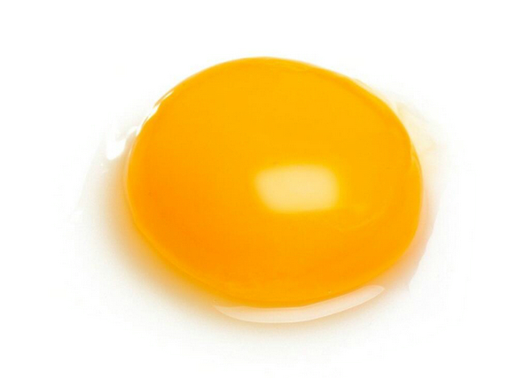 貓能不能吃蛋黃