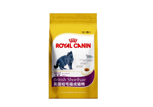 英國短毛貓正確的飼養方式是什么？