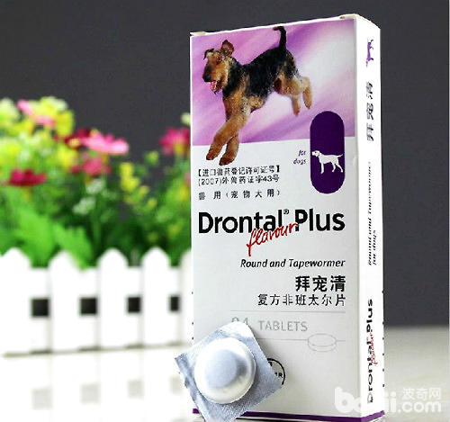 犬心保和拜寵清該選哪個