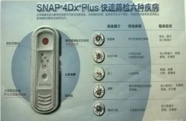 一例蜱蟲叮咬的病例分析