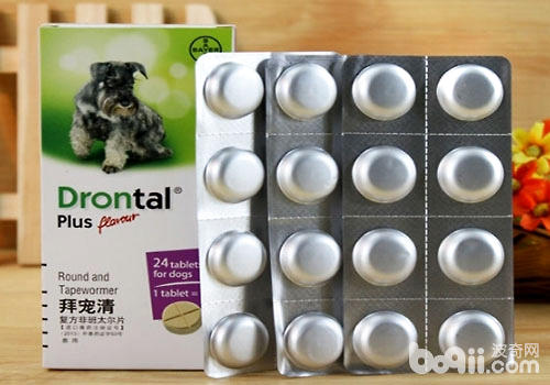 拜耳驅蟲藥怎么避免副作用？